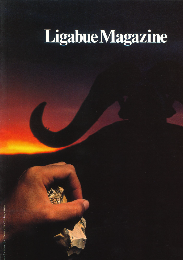 Ligabue Magazine 19